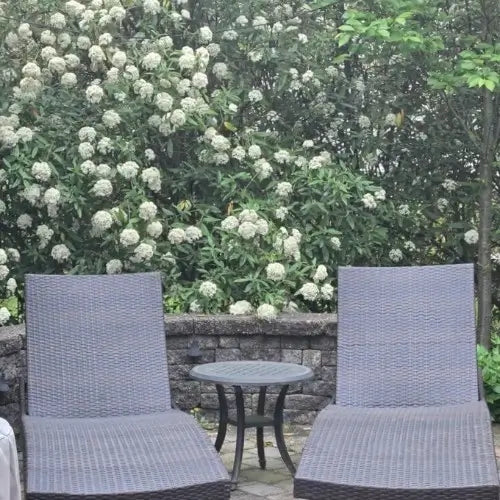 Review by Michelle B